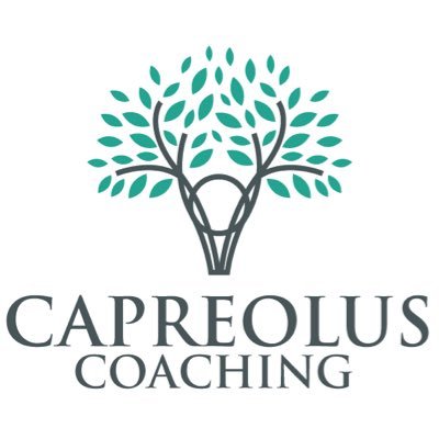 Qualified Wellbeing Coach - Accredited by BSC, Endorsed by ILM. Specialising in Workplace Wellbeing - enquiries@capreoluscoaching.co.uk