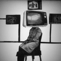 solarized (@solarizedphl) 's Twitter Profile