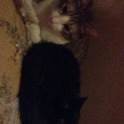 alvaroelcrackz2's profile picture. Hola soy nuevo. Y me gusta tu sonrrisa sigueme y ye sigo jjajajaja😍😍😍😱😱