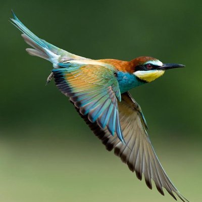 jorgewi96259227's profile picture. jorge