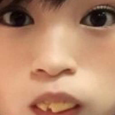 借り猫をほぼ卒業しかけている姫を嫁とする