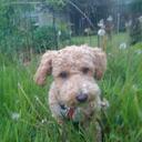 Ariel McClain - @arielbria - Twitter