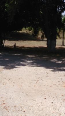 JoseCar06128829's profile picture. 