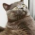 kedi (@volkitolki68) Twitter profile photo kedi (@volkitolki68) Twitter profile photo