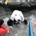 PRP_PolarPlunge (@prp_polarplunge) Twitter profile photo PRP_PolarPlunge (@prp_polarplunge) Twitter profile photo