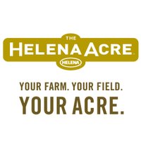 Helena Acre (@helenaacre) 's Twitter Profile