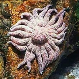 hydrobiology21's profile picture. 