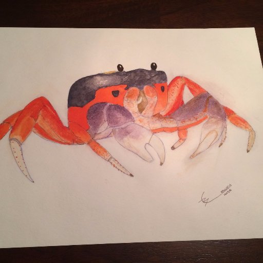 openhallways's profile picture. 