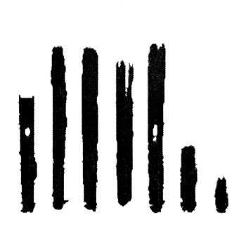 curbwireband's profile picture. Alternative rock band from the Southcoast UK