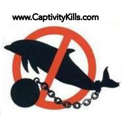 Welcome To Captivity Kills Official Twitter Page Take The Pledge And Say No To The Show Together We Can Make A Difference. 🐬🐋🦈