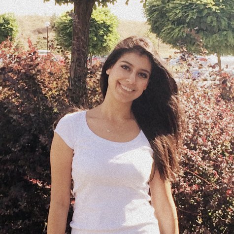 RimaTurker's profile picture. Research Associate and  Data Scientist @FIZKarlsruhe