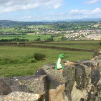 Dave Nolan (@wado1983) 's Twitter Profile Photo