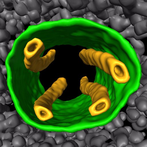 https://t.co/fKnd53tQsT @biozentrum Exploring cells with #CryoEM. Plants and algae in a changing climate. ❄🔬 OF 🌿 4THE 🌍! @bengeliscious@mstdn.science