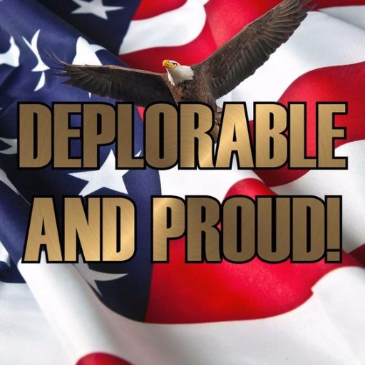 Deplorable & Proud For Trump. (Find us on facebook) :