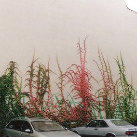 kathari22's profile picture. 