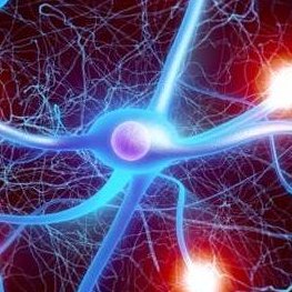 The #Financial Genome Project (FGP) is designed to map out the