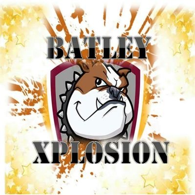 batleyxplosion Profile Picture