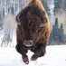 Lars Ellefsen (@tumblronavoca) Twitter profile photo Lars Ellefsen (@tumblronavoca) Twitter profile photo