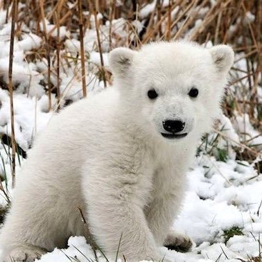 PatriciaRoblin's profile picture. 