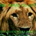 Te estoy acechando (@perneutrato) Twitter profile photo Te estoy acechando (@perneutrato) Twitter profile photo