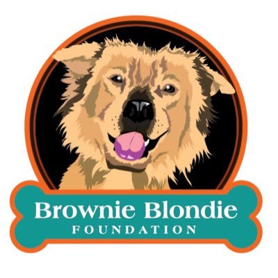 BrownieFound Profile Picture