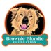 BrownieBlondieFound. (@BrownieFound) Twitter profile photo