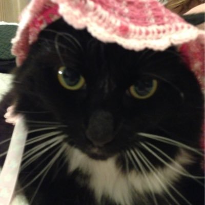 PortieWeston's profile picture. 