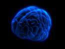 Cognitive training center that helps both kids and adults reach their maximum learning potential!