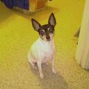 John Amberson - @JohnAmberson - Twitter