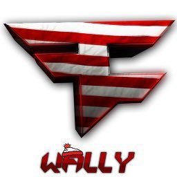 FaZe Wally