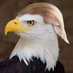 ConservativeinTX 🇺🇸🦅⭐⭐⭐💯 (@conservtx09) Twitter profile photo ConservativeinTX 🇺🇸🦅⭐⭐⭐💯 (@conservtx09) Twitter profile photo