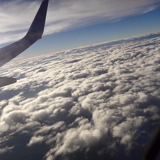 alexacuna493's profile picture. 