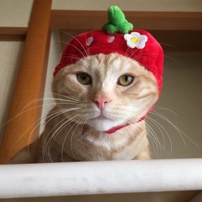 43B5IFt5DUh5iv3's profile picture. 