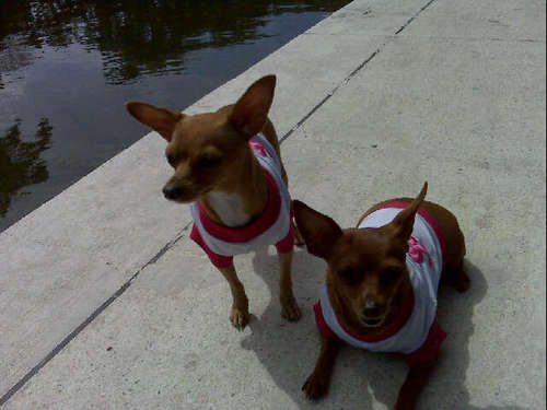 chepi57's profile picture. #ElEsequiboEsVenezolano