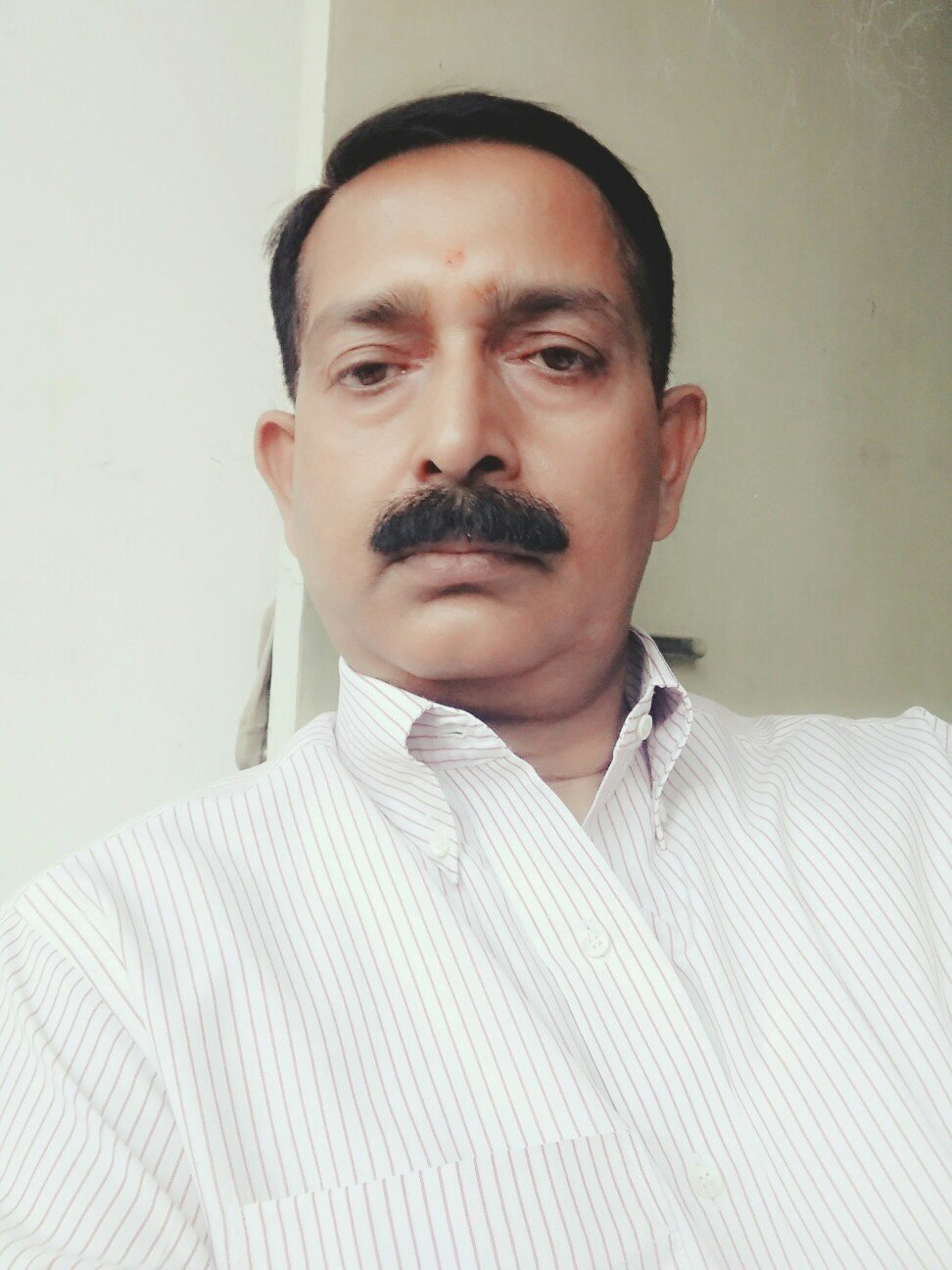 alokksingh11's profile picture. Soul serenades..