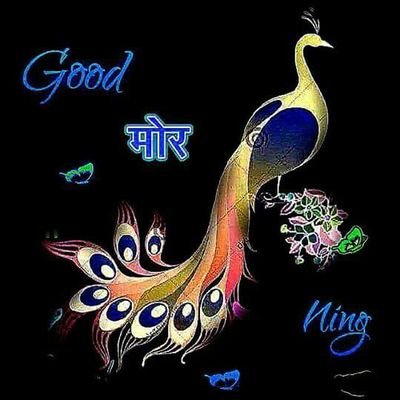 sonugautam89541's profile picture. jay baba ki