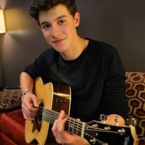 shawn mendes is beautiful voice.   I love him.