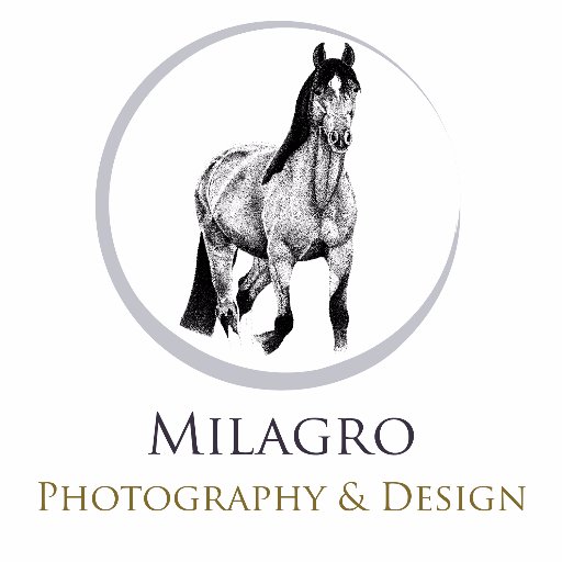 Welcome to my wonderful world of design and photography. I specialize in Equine & Portrait Photography, Graphic and Web Design. Email:milagrodesigns01@gmail.com
