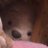 めぐ(🍥°⌓°🍥)あのアイコン