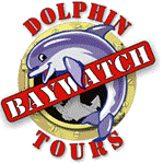BaywatchDolphin's profile picture. Baywatch Dolphin Tours: 21st & Harborside (in front of Harbor House Hotel) Galveston, TX 77550 Phone: 832-859-4557