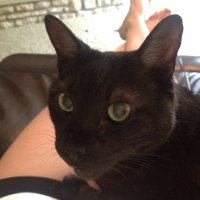 Rhonda Ross (@rosstjhrrr) 's Twitter Profile Photo Rhonda Ross (@rosstjhrrr) 's Twitter Profile Photo
