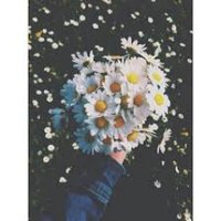 Darkforloser (@darkforloser) 's Twitter Profile Photo