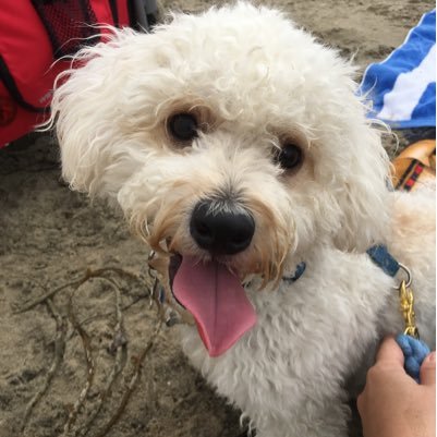 ARobson12's profile picture. 