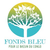 Fondsbleucongo (@fbleucongo) 's Twitter Profile