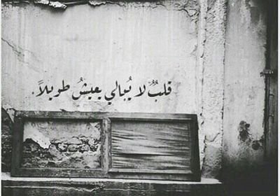 taraf_998's profile picture. 