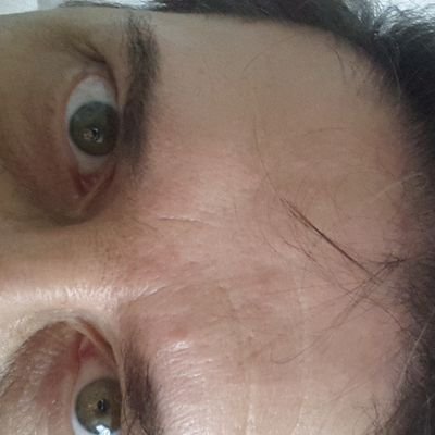 Proboviro60's profile picture. Sono un uomo pieno di valori che sembrano non valere più. Ominide della specie Probus, in via di estinzione. Cogito ergo sto preoccupato.