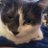 therealAmarna's avatar