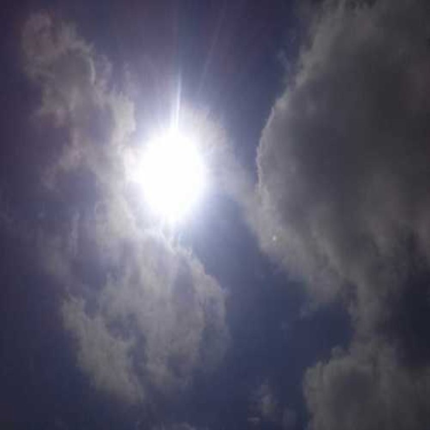 muocviz's profile picture. 