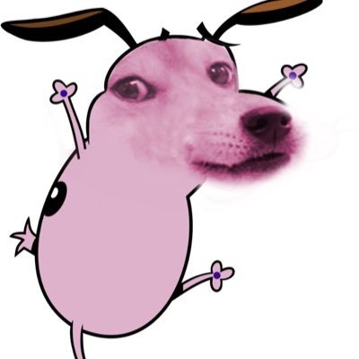 cat_city_bitch's profile picture. 