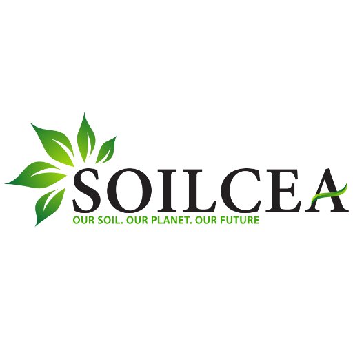 Soilcea